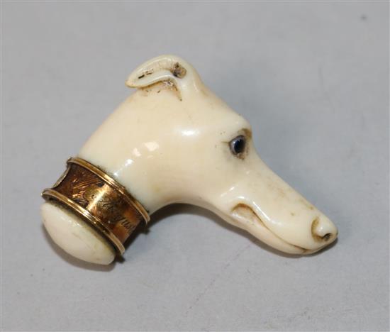 A small Victorian carved ivory dog head 3cm.